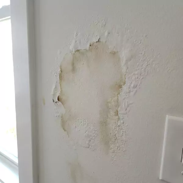 Expert Drywall Water Damage Repair in Plantation, FL