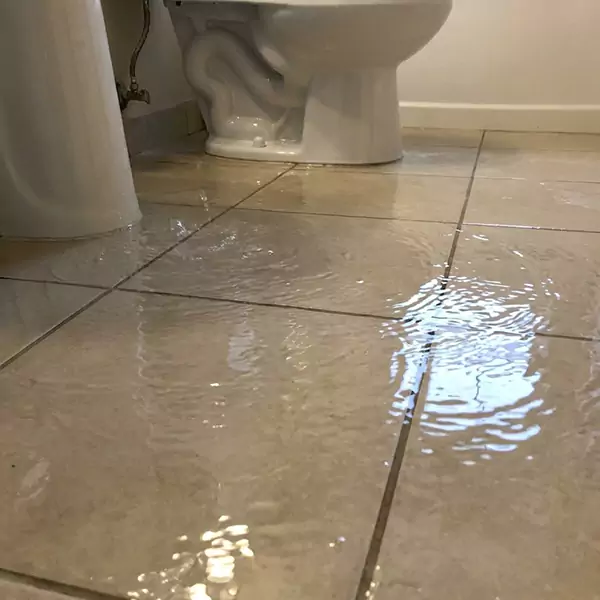 Expert Flooded Bathroom Restoration in Plantation, FL 