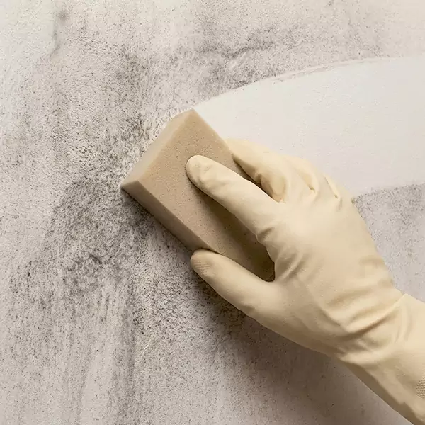 Smoke Cleaning in Plantation, FL 