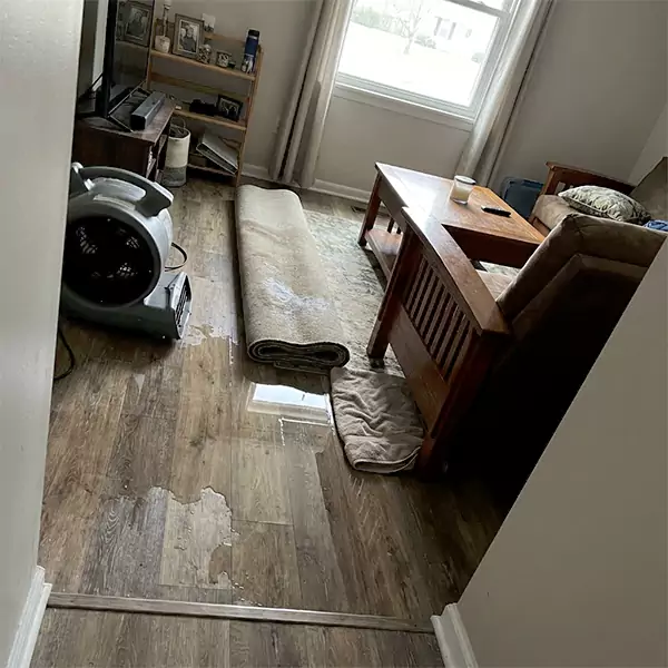 Water Restoration in Plantation, FL