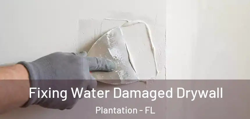  Fixing Water Damaged Drywall Plantation - FL
