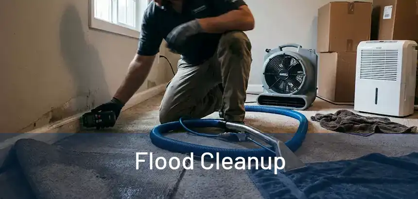  Flood Cleanup 