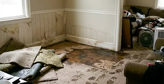 Why Choose Plantation Water Damage Pro For Water Damage Restoration Services in Plantation, FL?