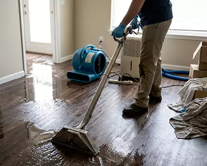 Flood Restoration in Plantation
