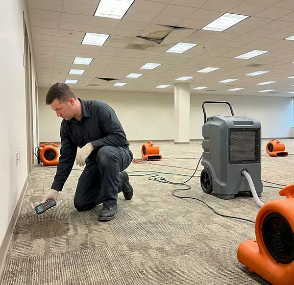 Why Businesses Choose Plantation Water Damage Pro for Commercial Water Damage in Plantation, FL?