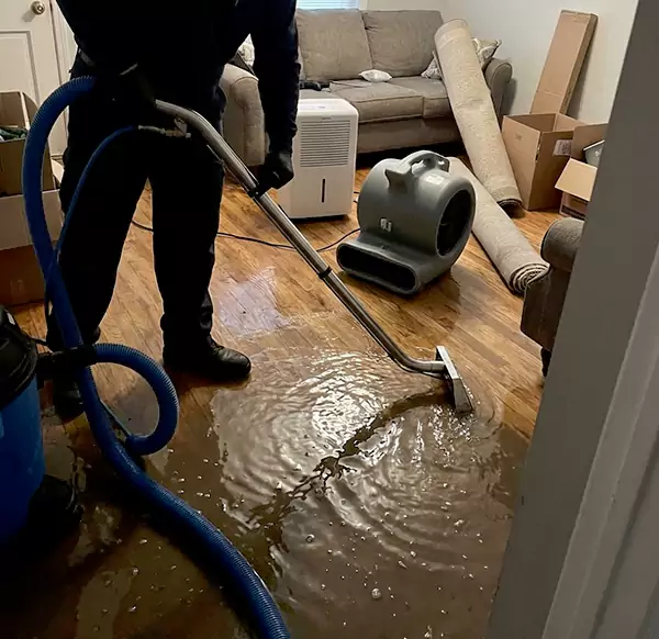 Why Homeowners & Businesses Choose Plantation Water Damage Pro for Flood Cleanup in Plantation, FL?