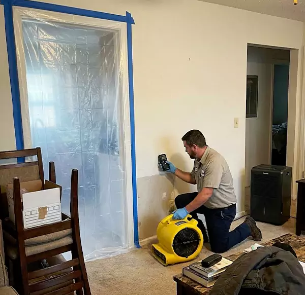 Why Homeowners & Businesses Choose Plantation Water Damage Pro for Water Remediation in Plantation, FL?