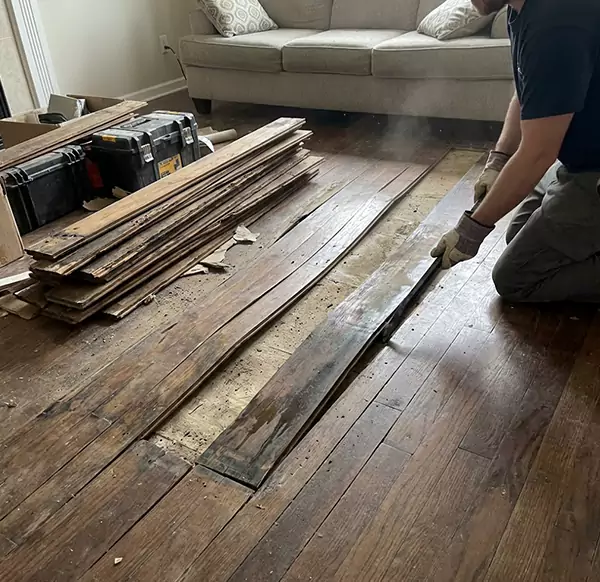 Why Choose Plantation Water Damage Pro for Wood Floor Water Damage Repair in Plantation, FL?