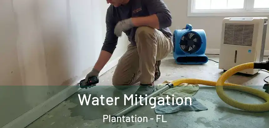  Water Mitigation Plantation - FL