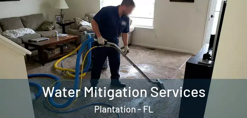 Water Mitigation Services Plantation - FL