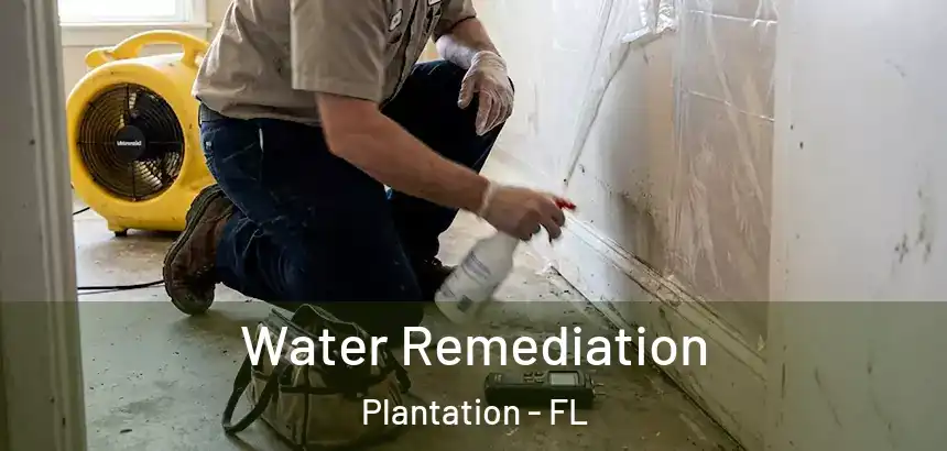 Water Remediation Plantation - FL