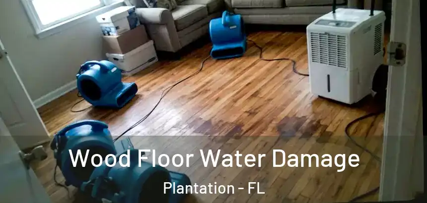 Wood Floor Water Damage Plantation - FL
